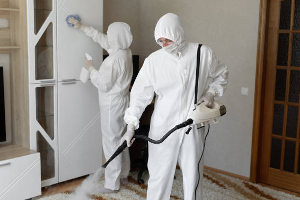 Best HVAC Mold Remediation in Smithville, TX